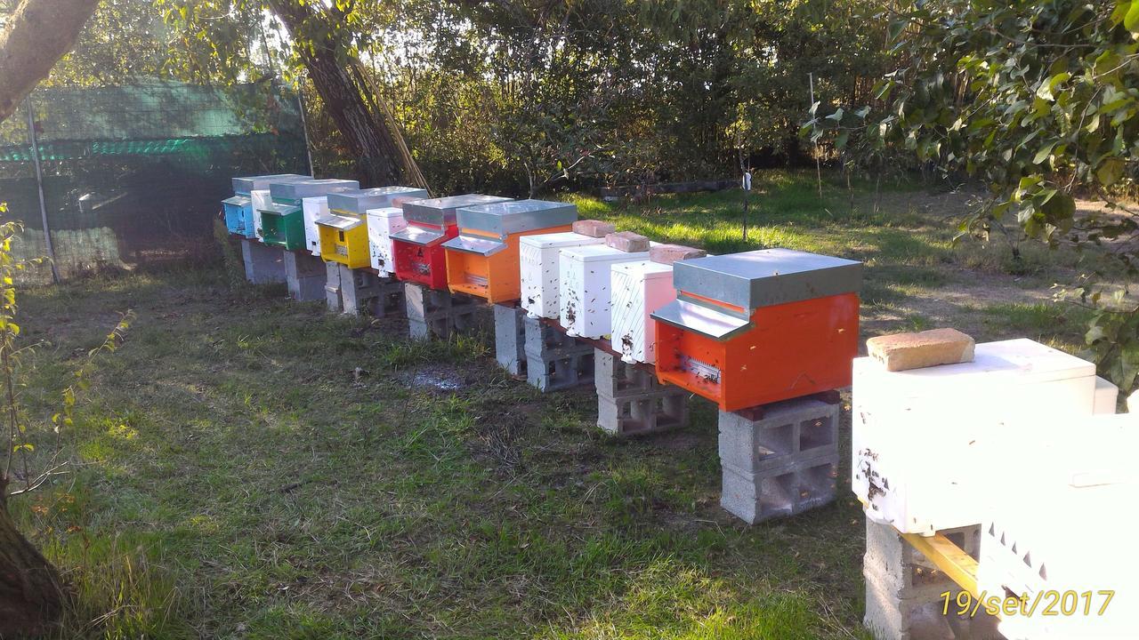 L'Ape In Corte Casa Di Campagna, Via Francigena Stanze E Colazione Vaccarizza Zewnętrze zdjęcie