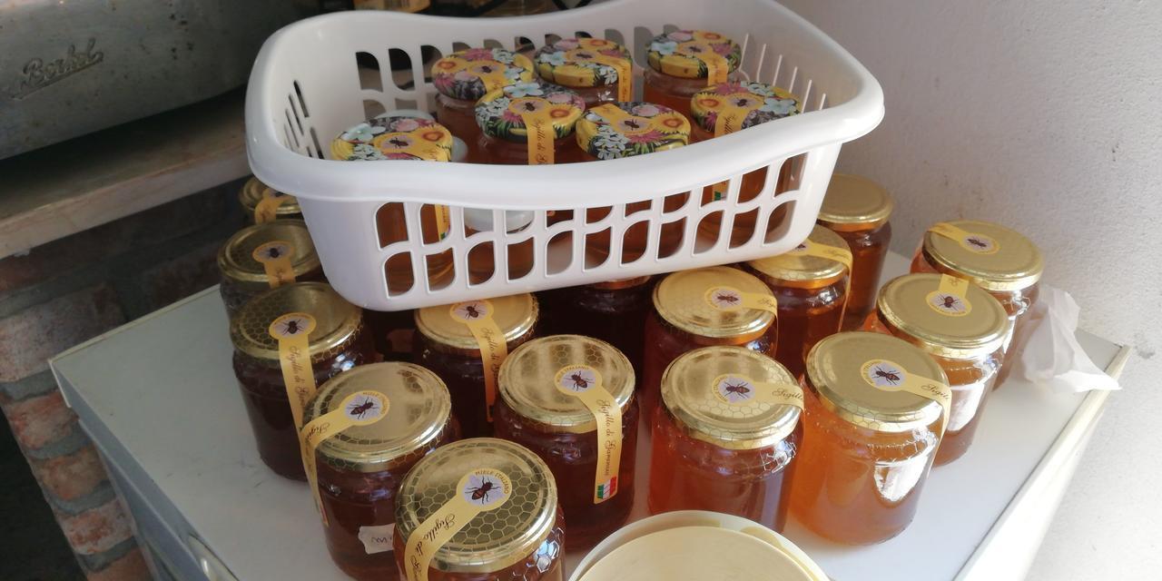 L'Ape In Corte Casa Di Campagna, Via Francigena Stanze E Colazione Vaccarizza Zewnętrze zdjęcie